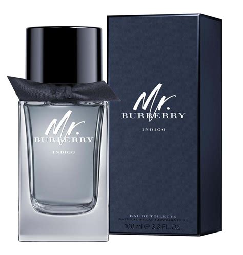 burberry for men a que huele|Burberry Men Burberry cologne .